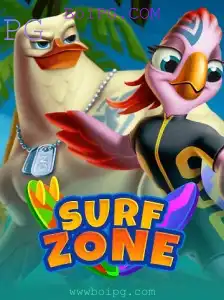 SurfZone: Guia Completo para Iniciantes